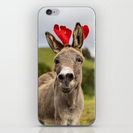 Christmas season, donkey with decoration, funny and cute animal. iPhone Skin