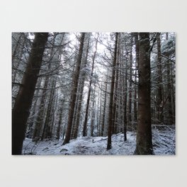 In the Snow Covered Wood Canvas Print