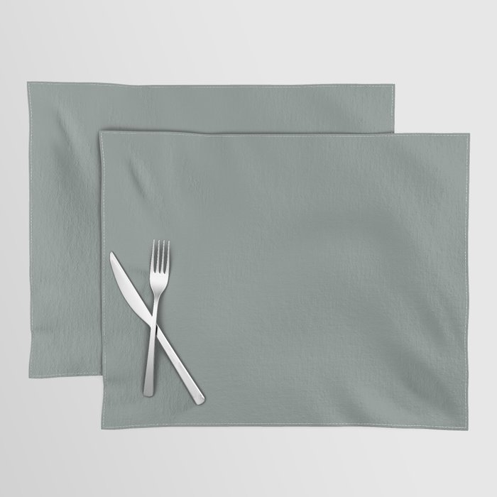 SLATE GRAY SOLID COLOR Placemat