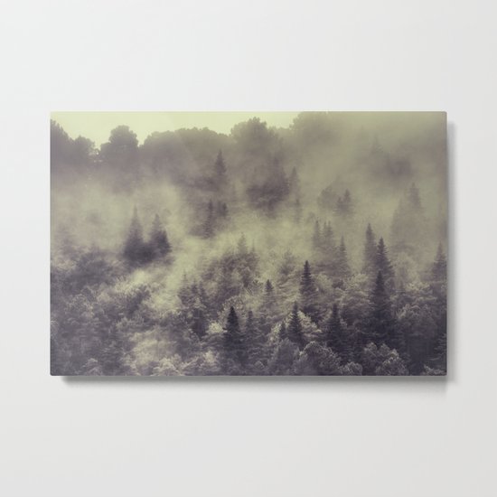 "Into the woods" Love the forests Metal Print