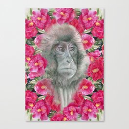  Monkey‘‘s Garden  Canvas Print