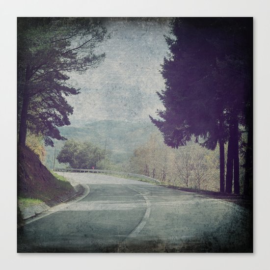 8845 Canvas Print