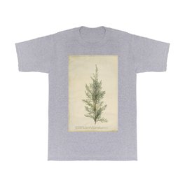 Botanical Juniper T Shirt