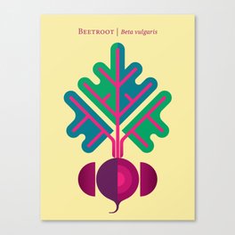 Vegetable: Beetroot Canvas Print