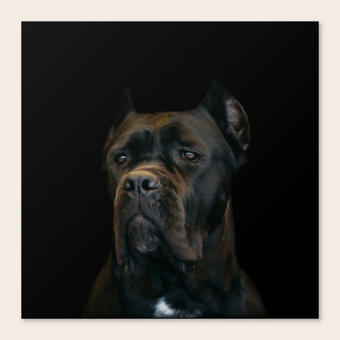 Cane Corso Italian Mastiff Canvas Print By K9printart