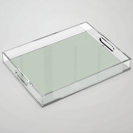 Neutral Midtone Green-Blue Single Solid Color Coordinates with PPG Niagara Mist PPG10-30 Acrylic Tray