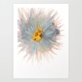 sea urchin Art Print