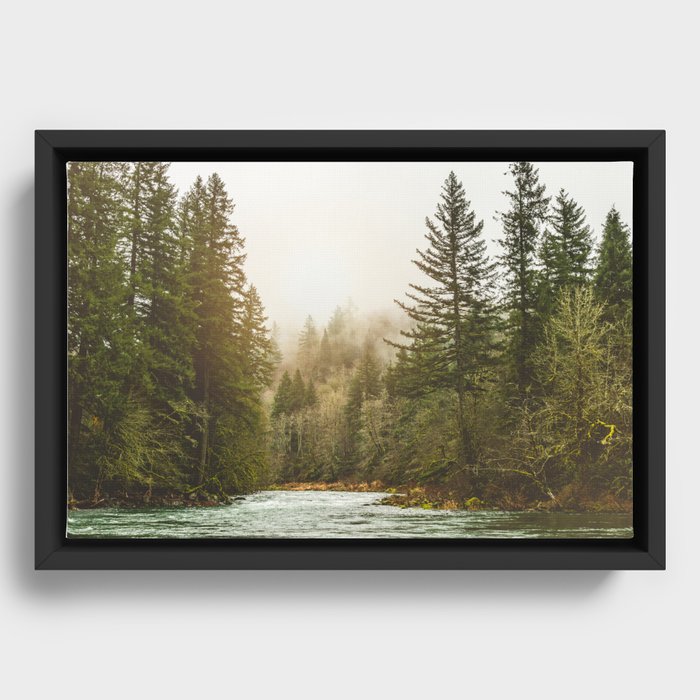 Framed Canvas