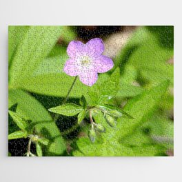 Little Purple Flower along the Path Jigsaw Puzzle
