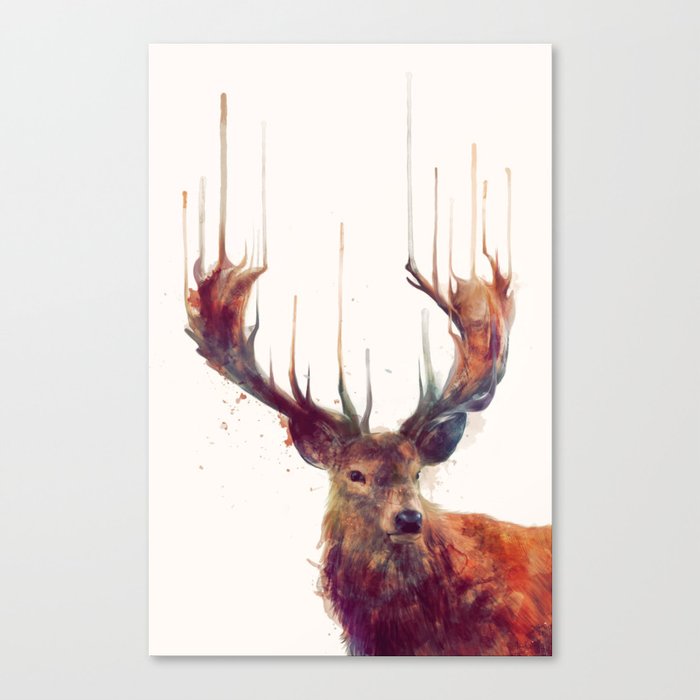 Red Deer // Stag Canvas Print