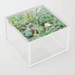 Daisy flower margarita  Acrylic Box