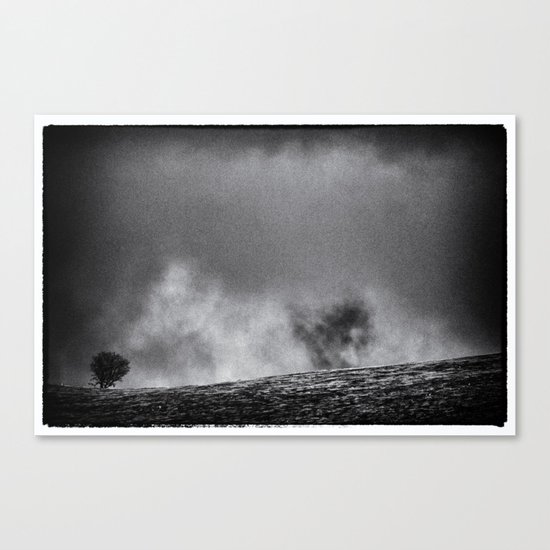 One tree hill Canvas Print