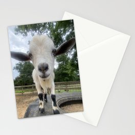 Goat Stationery Cards