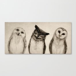 The Owl's 3 Leinwanddruck