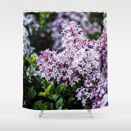 Lilac Fields Shower Curtain