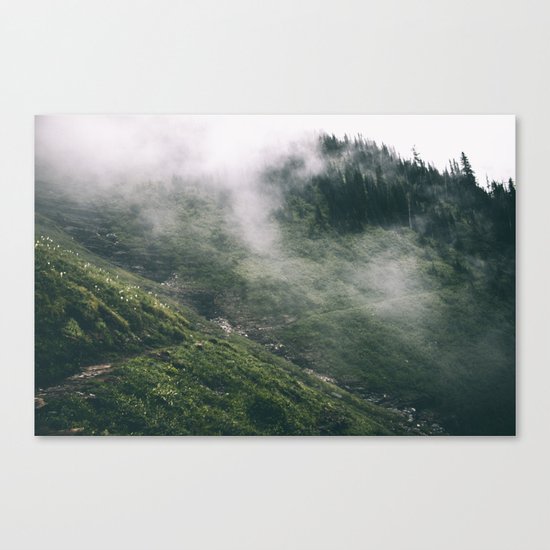 Happy Trails VIII Canvas Print