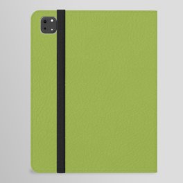 Dino Green iPad Folio Case