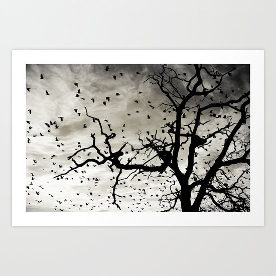 The sky is for birds Art Print