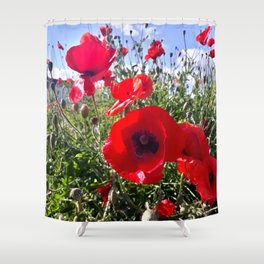 Suburbian summer blooming poppy field Shower Curtain