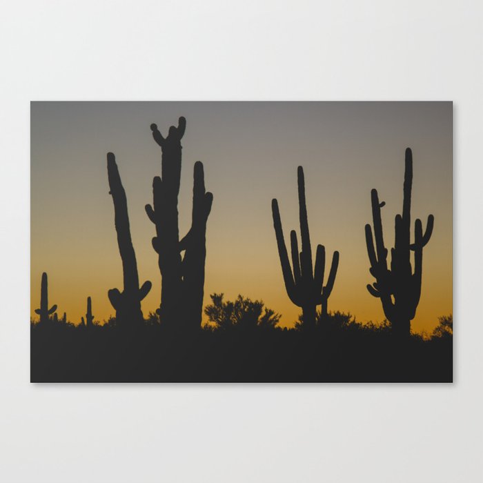 Saguaro Sunset Canvas Print by Scott Cochran | Society6