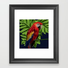 Parrot  Framed Art Print