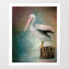 Perched Pelican Art Print