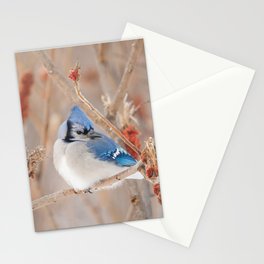 Blue Jay and Sumac Stationery Cards