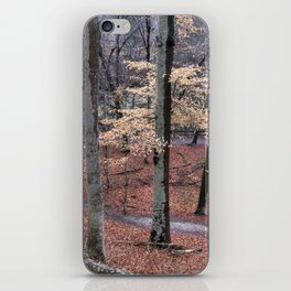 Path in the Woods iPhone Skin