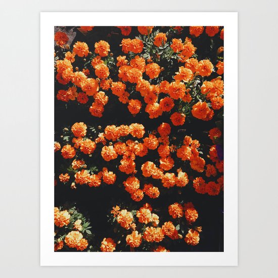 Orange Bloom Art Print