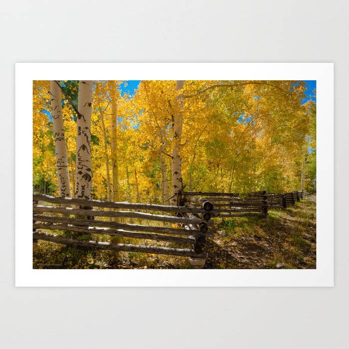 Aspen Autumn Color I - Southern Utah Art Print