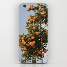 Mediterranean Oranges iPhone Skin