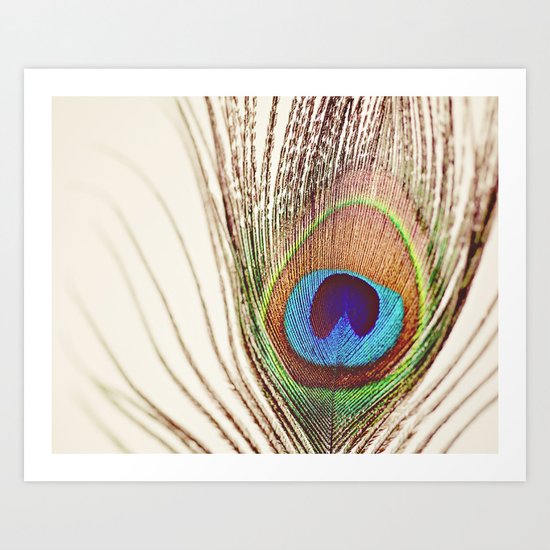 Peacock Art Print
