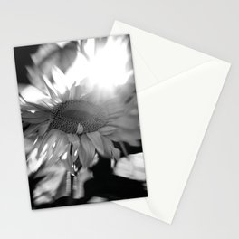 black and white sunflower Stationery Cards