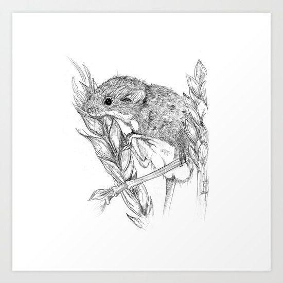 Harvest mouse Art Print
