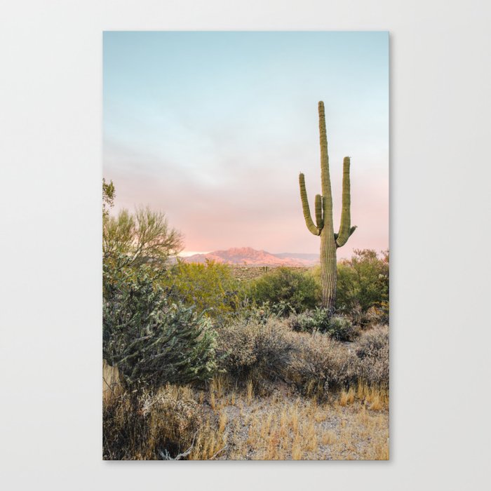 Desert Mountains Saguaro Cactus Blue & Pink Sunset Phoenix Arizona Canvas Print