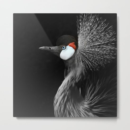 CROWNED CRANE by Monika Strigel Metal Print