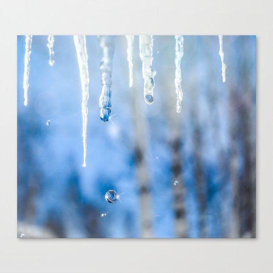 Icicles and drops in a birch grove Canvas Print
