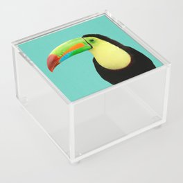 Toucan Bird - Blue Acrylic Box