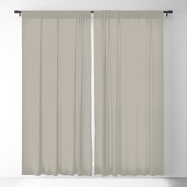 Pratt and Lambert 2019 Ever Classic Gray 32-24 Solid Color Blackout Curtain