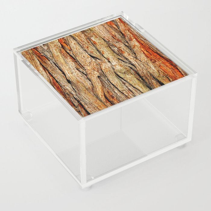 Tree Bark Rough Wood Texture Acrylic Box