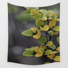 Fagus Wall Tapestry