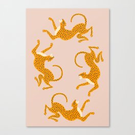 Leopard Race - pink Canvas Print