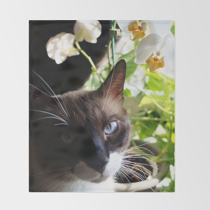 Black And White Snowshoe Cat With Moth Orchid Throw Blanket By Shmoo Sees Society6