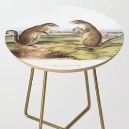  Marmot Squirrel  from the viviparous quadrupeds of North America  illustrated by John Woodhouse Audubon Side Table