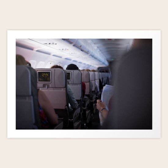 In Flight Art Print
