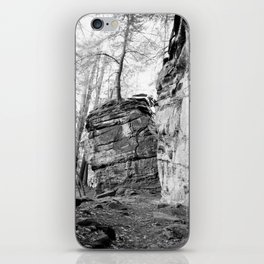 Perched Atop iPhone Skin