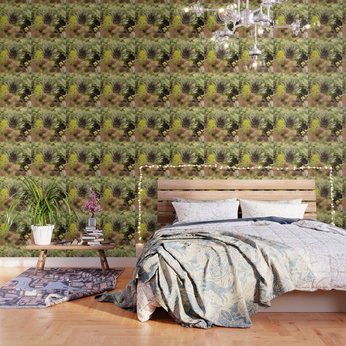 Succulent  Wallpaper
