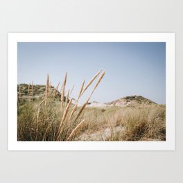 Photo of the sunny dunes in Schoorl I | Near the sea in Holland/The Netherlands  | Fine Art Colorful Travel Photography | Art Print