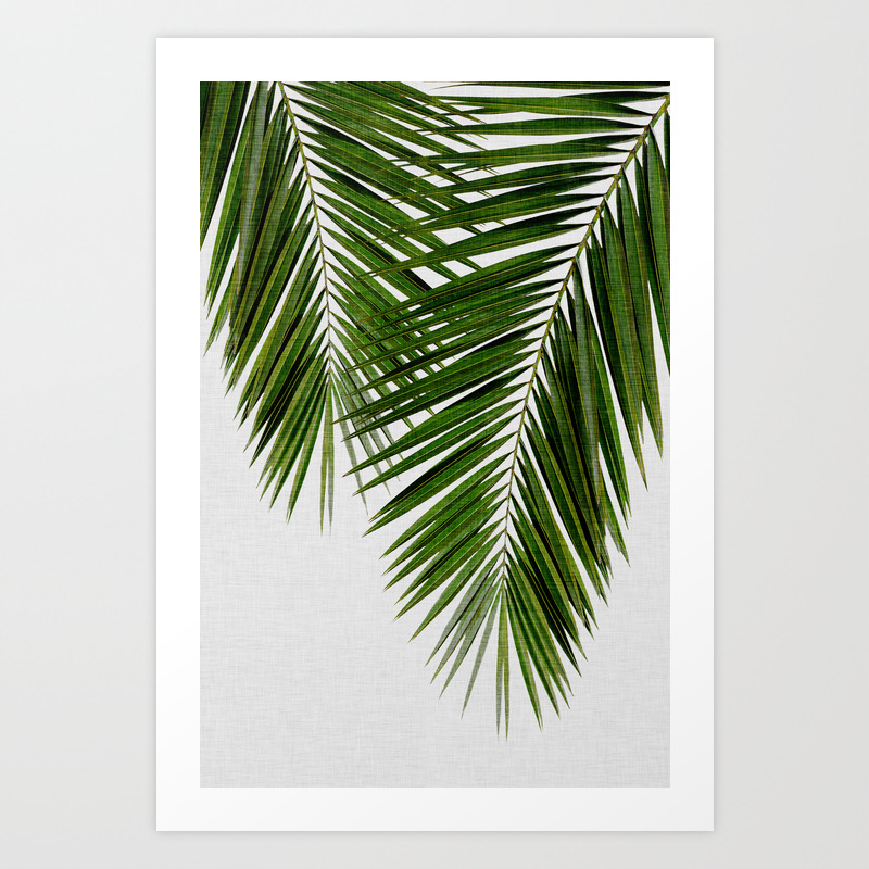 Palm Leaf Ii Art Print By Paperpixelprints Society6