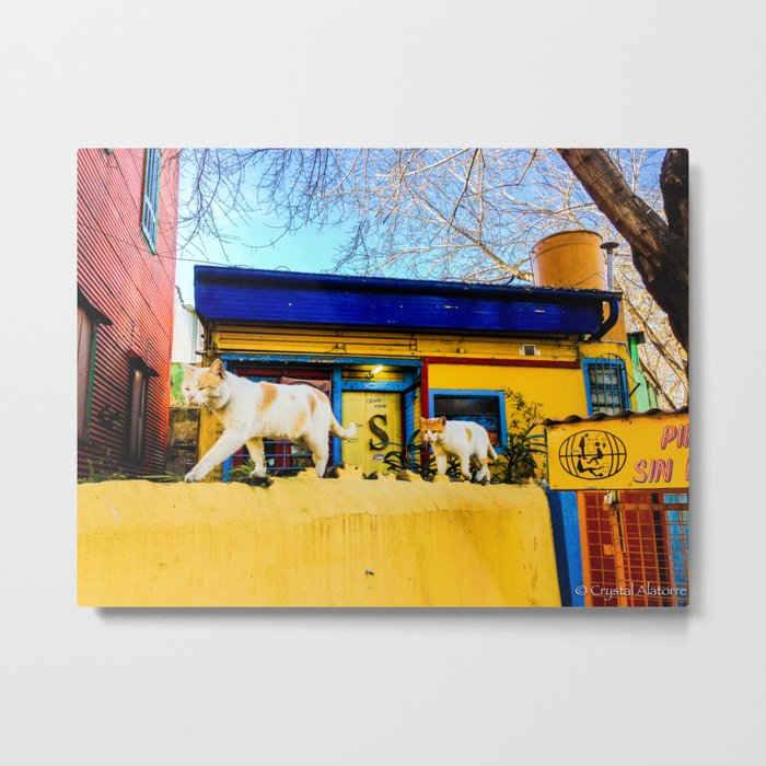 Cats in Buenos Aires #2 Metal Print